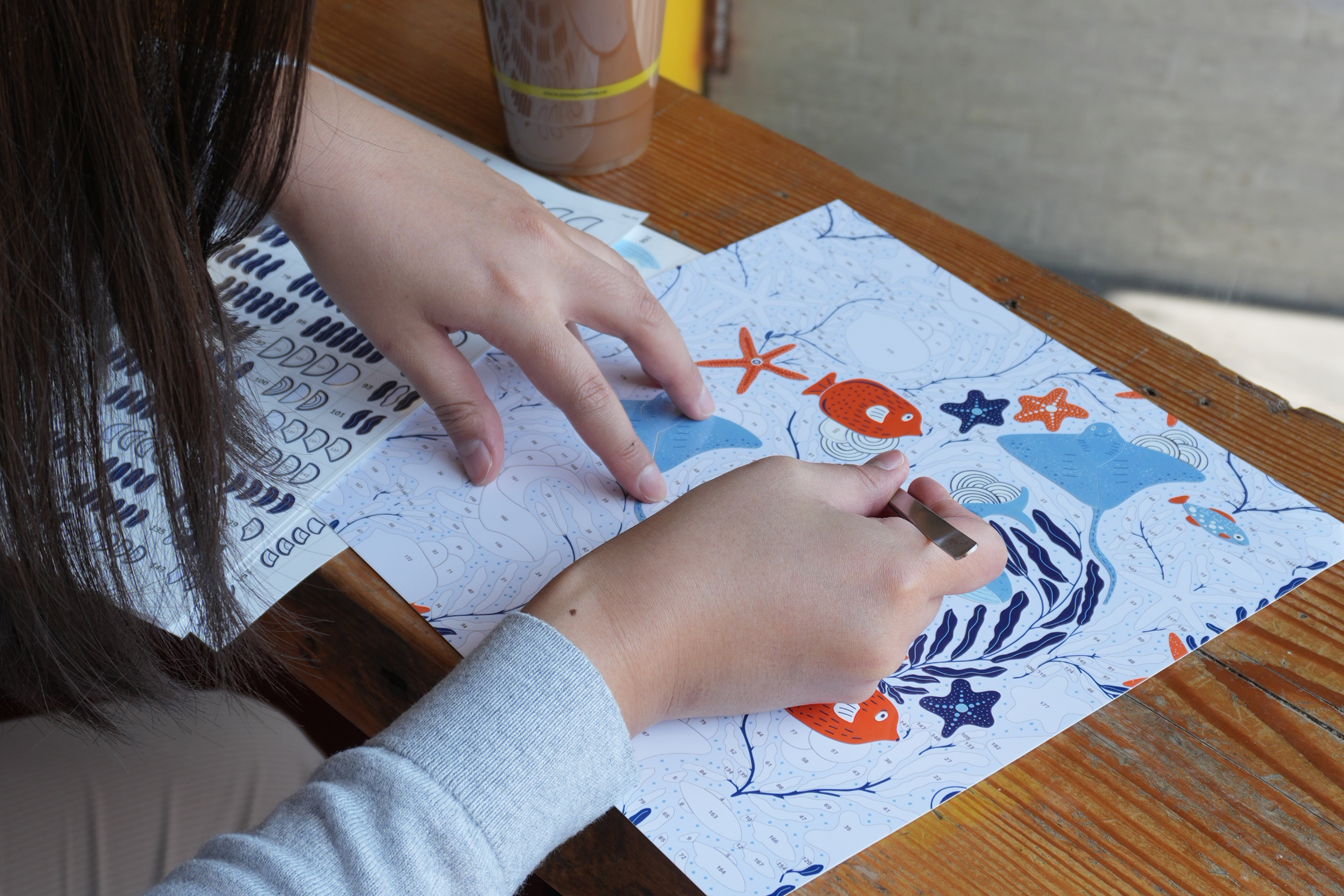 Vexyls Canvases – Pixyls USA