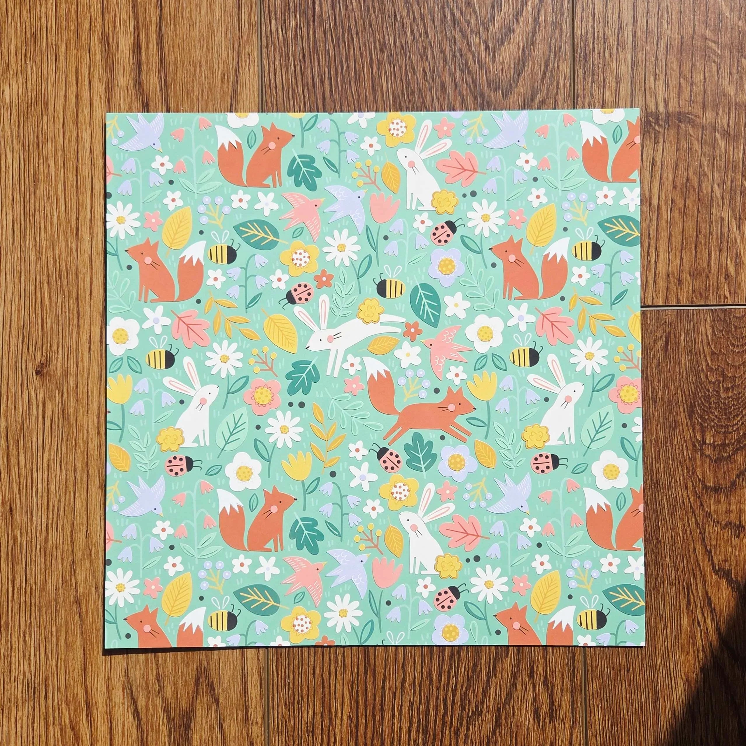 Vexyls Canvases