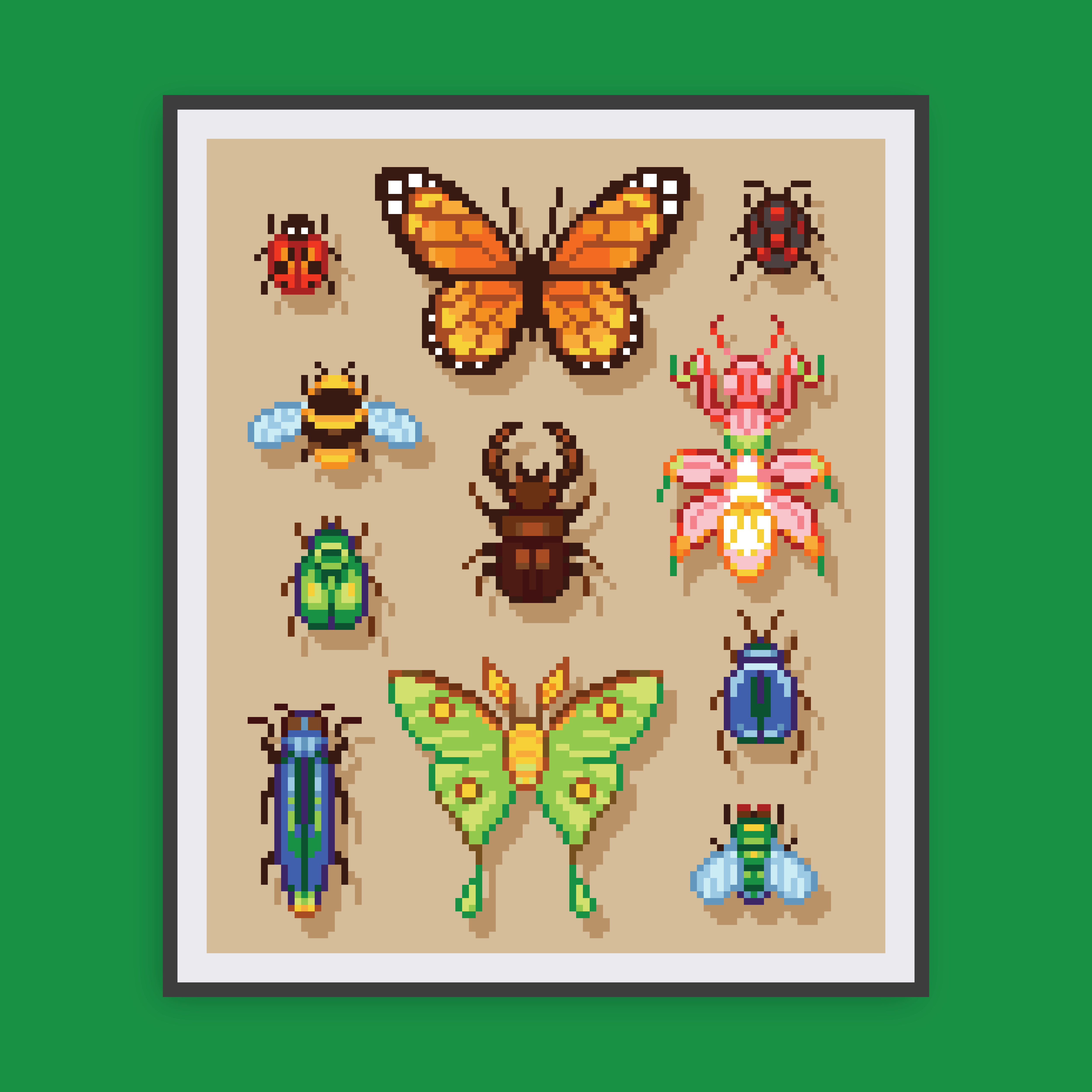 Bugs Canvas