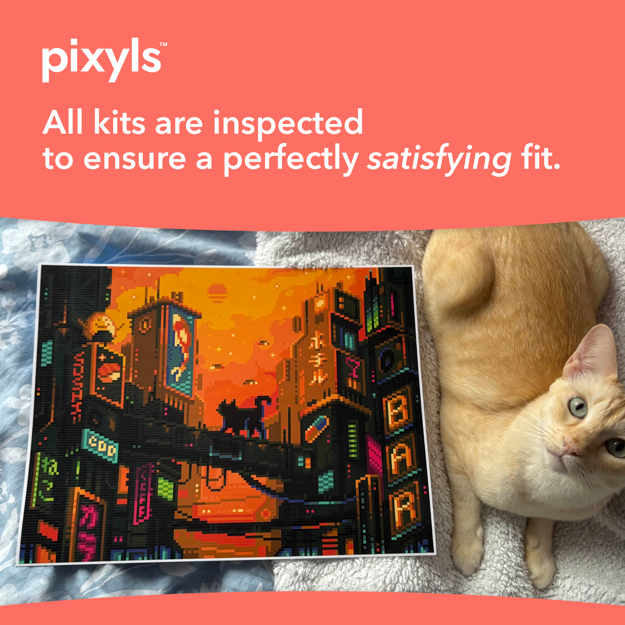 Frame_57_5a1e1346-1d88-43c1-97f0-f5ae36985dde.png