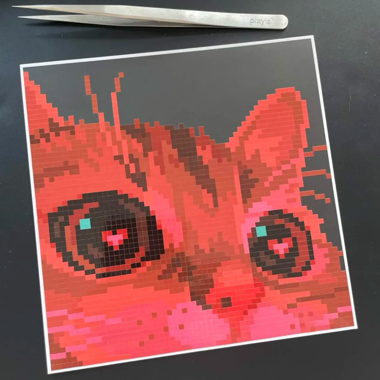 Lover Cat Canvas
