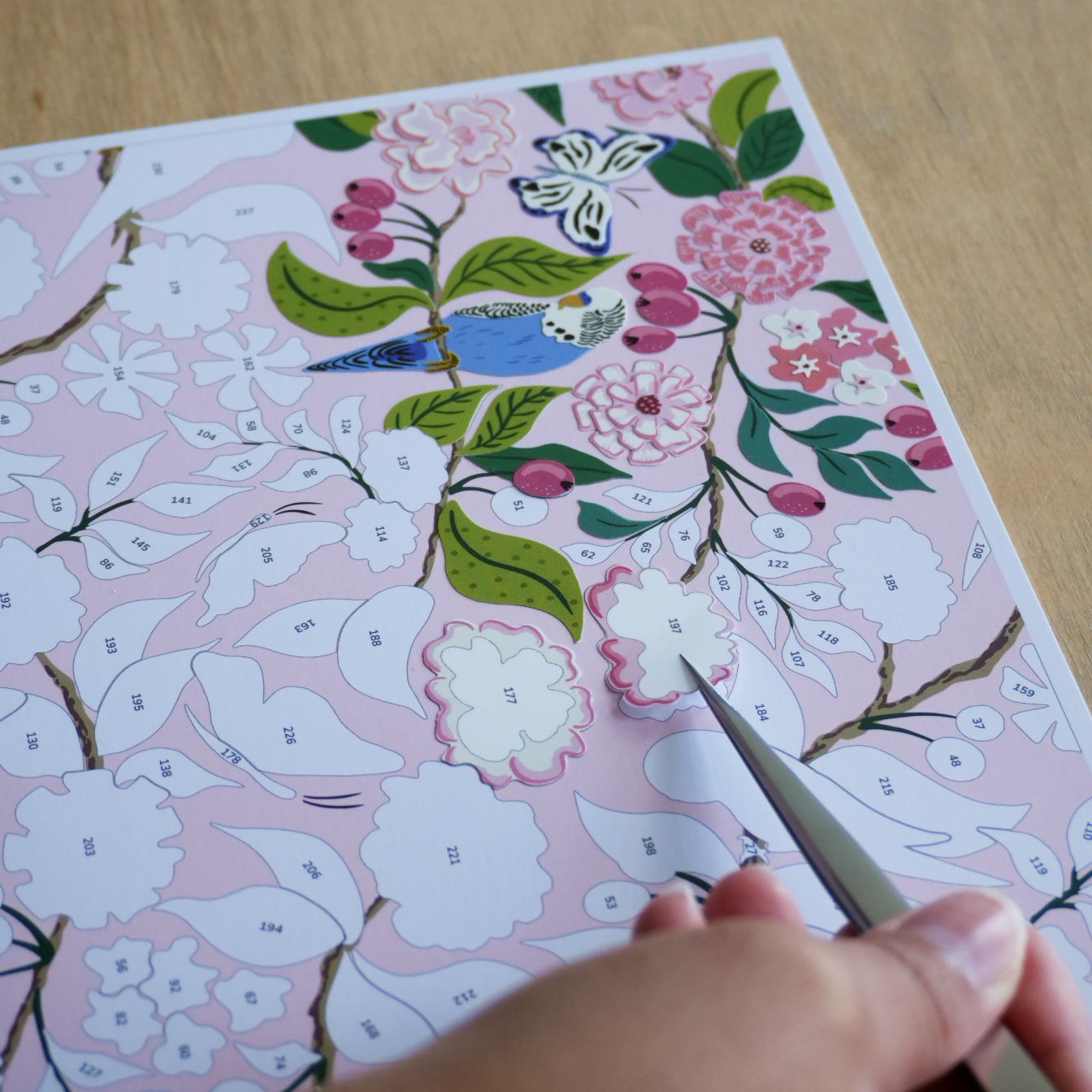 Budgies and Butterflies Canvas