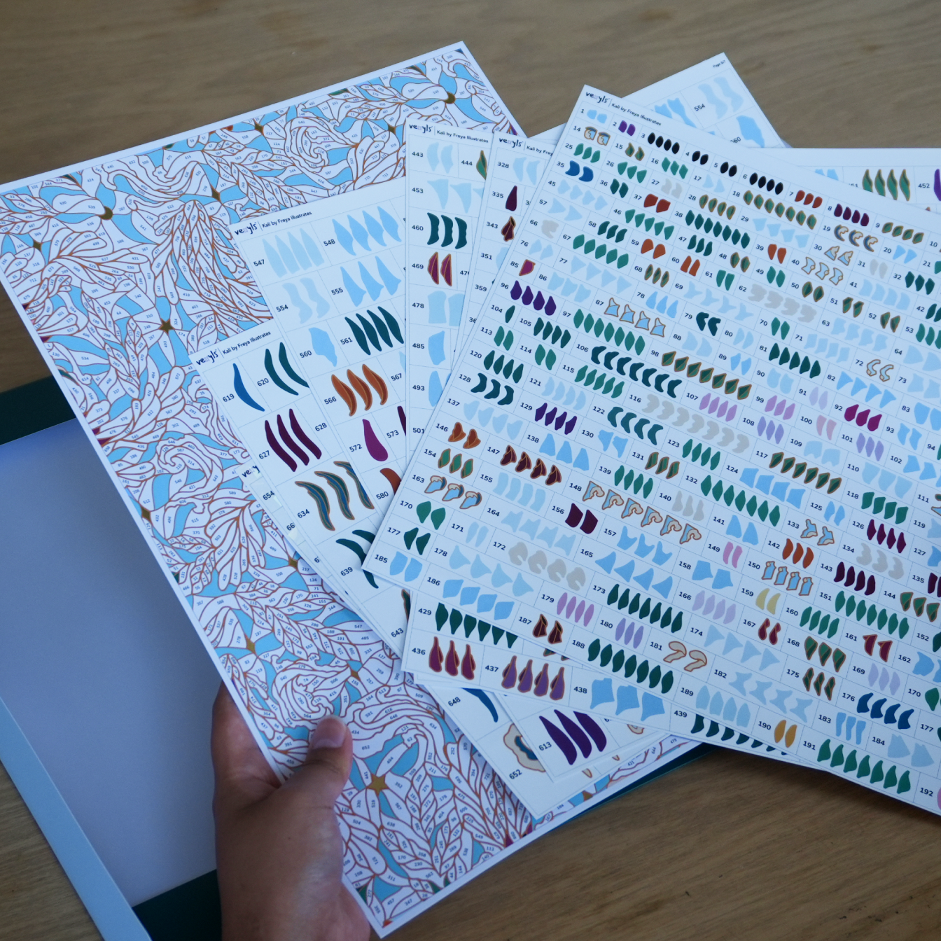 Kali Canvas